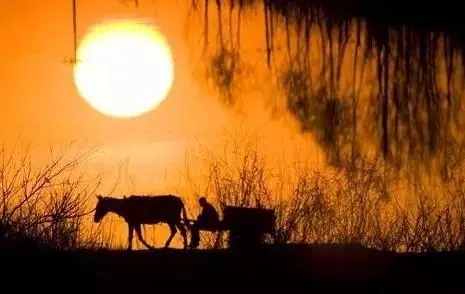 描写乡村的句子文案四年级