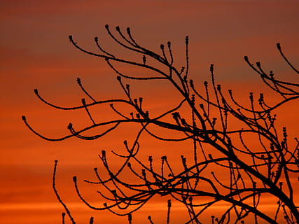 形容爱情的美好句子文案