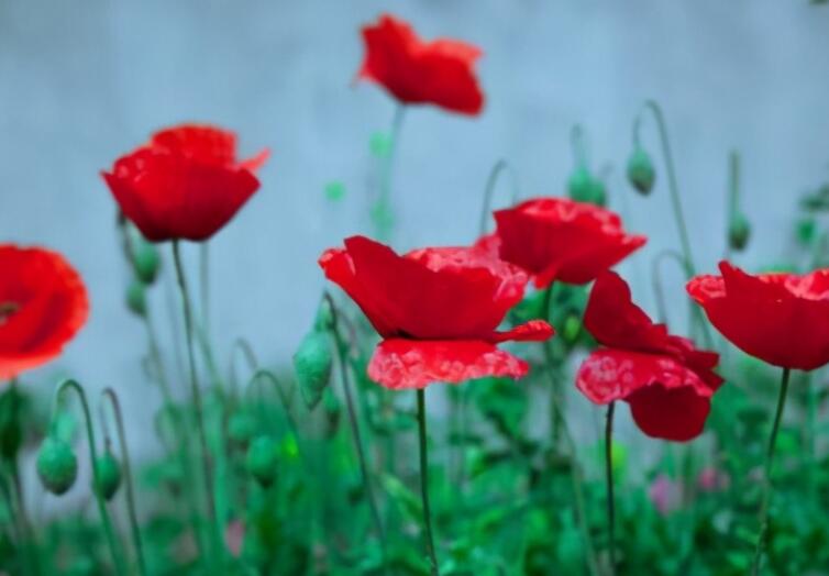 人生抉择的名人名言