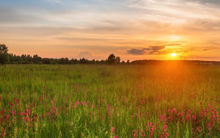 简短祝福语唯美
