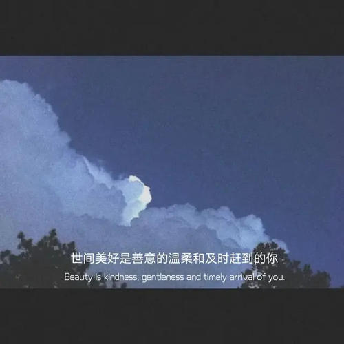 一些温柔的小众文案