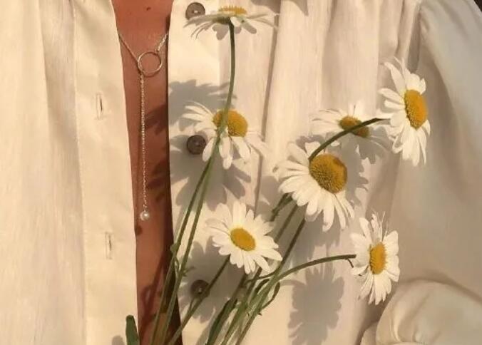 关于雨后清新的句子文案