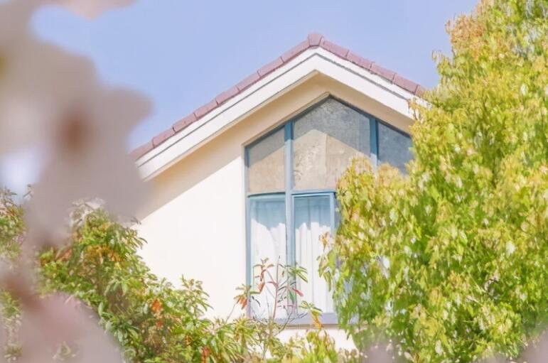 关于森系治愈的句子文案