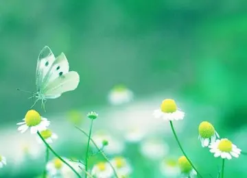 微信早安问候语正能量简单