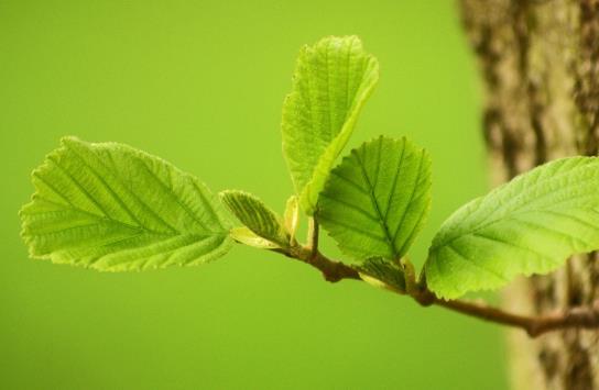 自我激励的句子文案独特