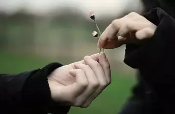 赌博的经典说说句子文案