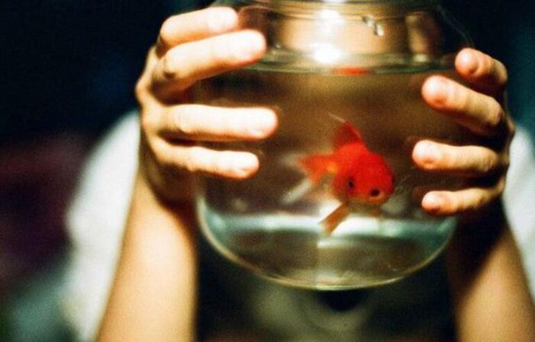 加油站服务励志句子文案