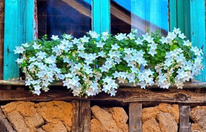 早上感悟说说文案心情短语