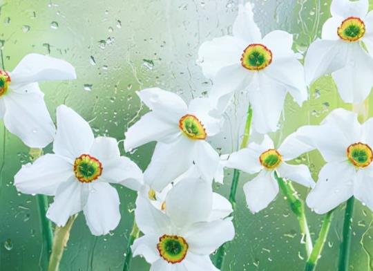 关心体贴的话语