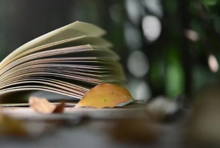 类似开卷有益的名言