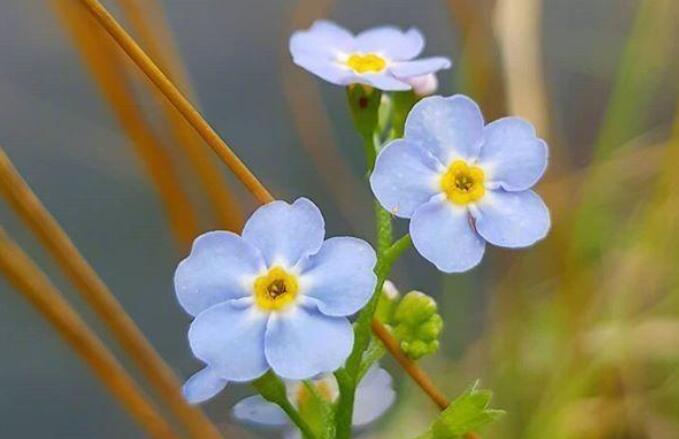 大家早上好文字句子文案