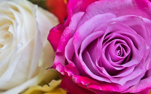 期待爱情的唯美诗句文案