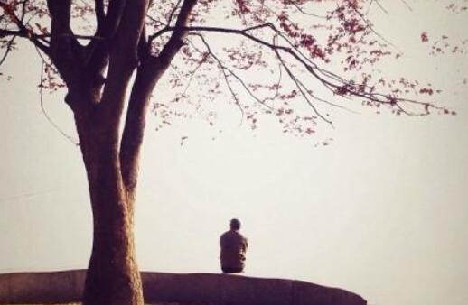 感人语录文案关于生活