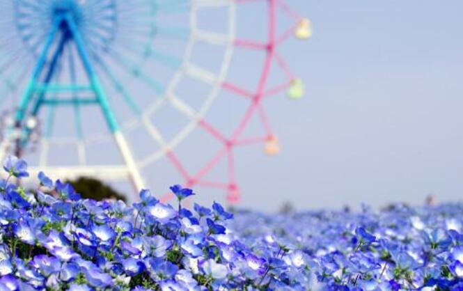 形容人活得通透的诗句文案