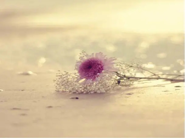 关于温暖的唯美句子文案