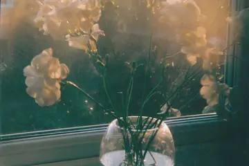 每天都笑得灿烂的句子文案