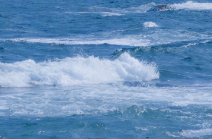 开车心情好的句子文案