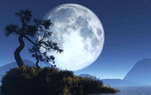 描写月亮的句子文案