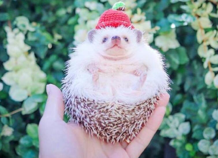 早上问候语温馨正能量