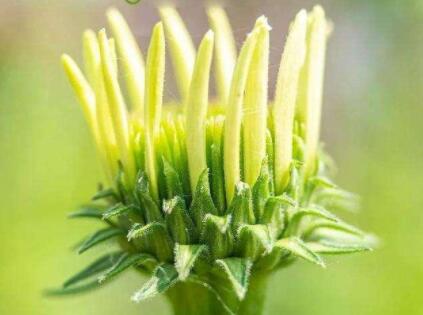 老年朋友之间早安简单祝福语