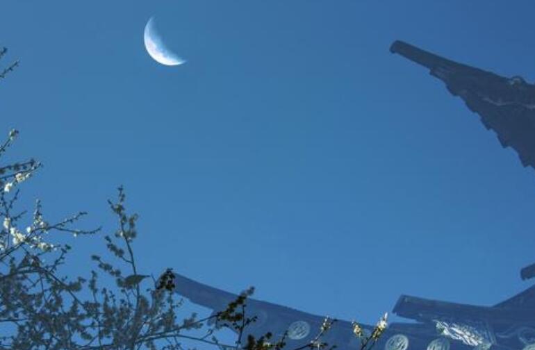 故乡名言名句文案摘抄