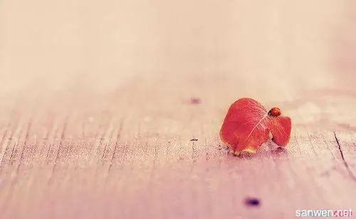 工作感恩励志语句文案