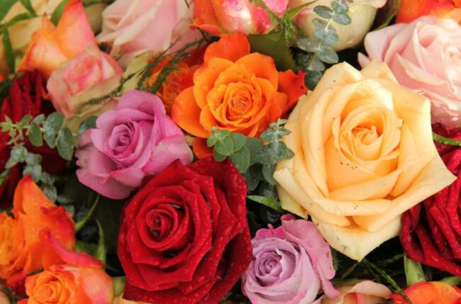 关于情人节的爱情句子文案