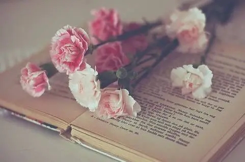 感谢的话语简短精辟