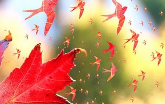 描写十月的优美句子文案