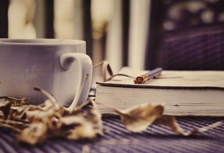 好句文案好段摘抄及赏析