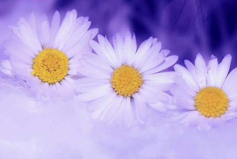 祝福朋友生日快乐的话