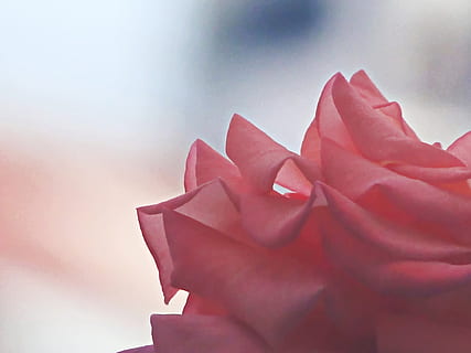 委婉挽回男朋友句子文案