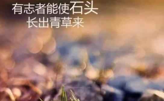 月头激励销售话语