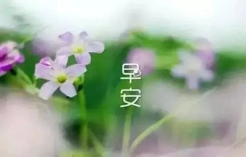 希望早安一句话