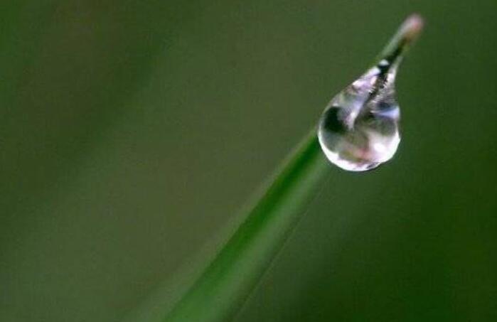 我很懂事的说说文案