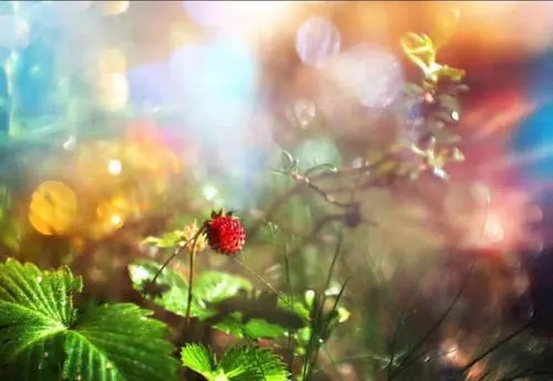 描述长见识的句子文案