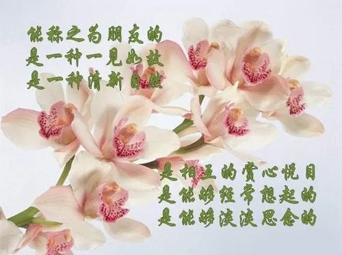 诚心交友的句子文案