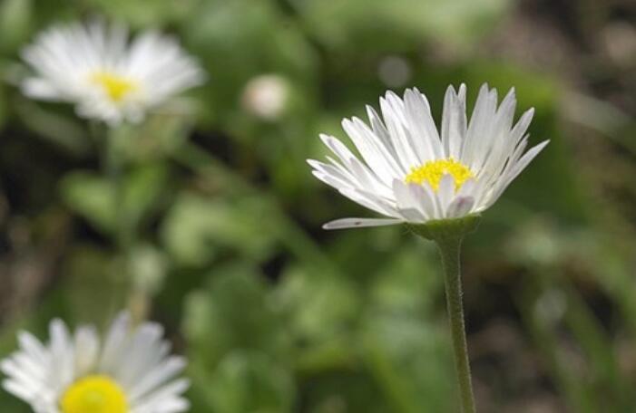 揭露人性的短句