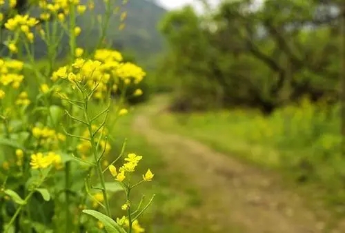想家乡了发朋友圈的句子文案简短