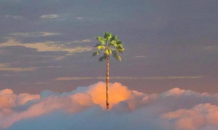 每周原创句子文案