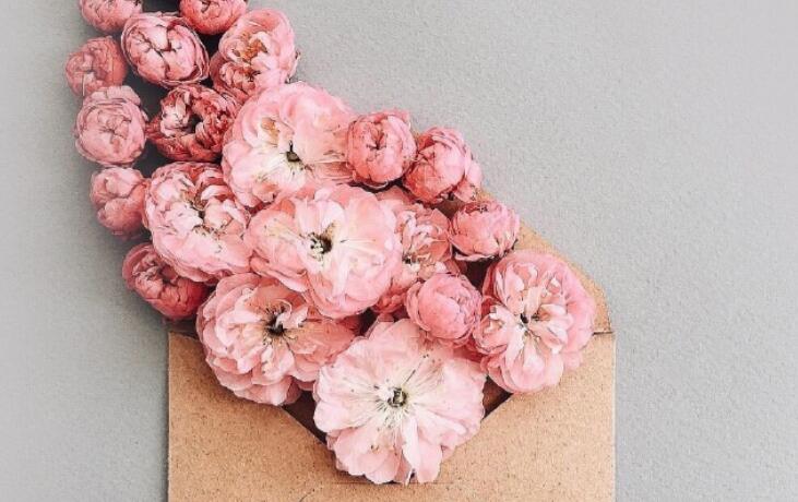 感人的情话文案