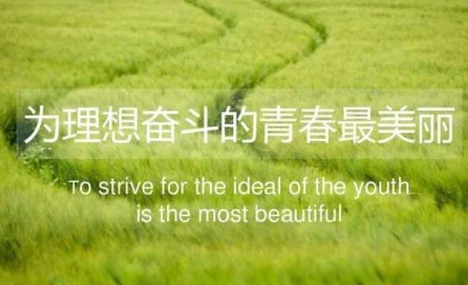 青春励志语录文案