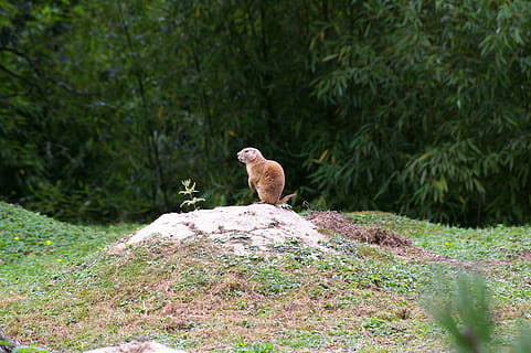 搭讪的具体句子文案
