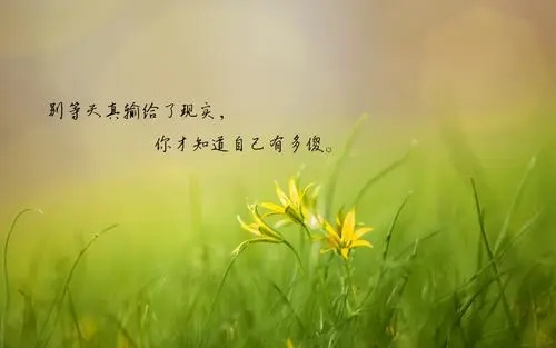 失望看透人心的句子文案