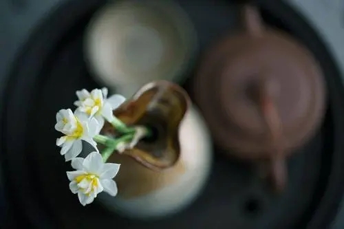 形容人朴素的句子文案