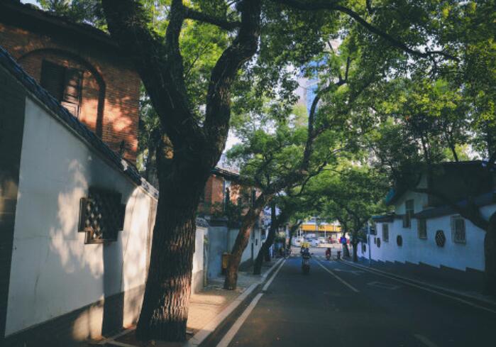 描写走在林荫小道上的句子文案