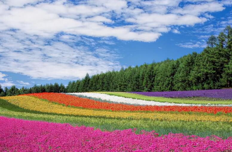 早安分享正能量工作励志句子文案