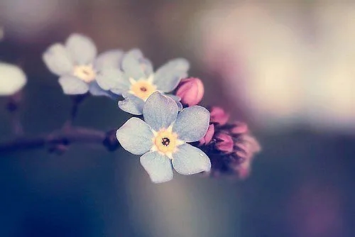 努力变优秀的神仙句子文案