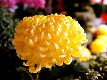 开封朋友圈文案