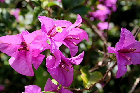 自己一个人去做人流的说说文案